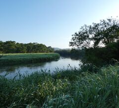 2023年 夏の北海道⑪ "湿原を流れる釧路川" は美しかった！ "達古武(たっこぶ）湖畔" でエゾシカにも遭遇し、釧路市街に帰還