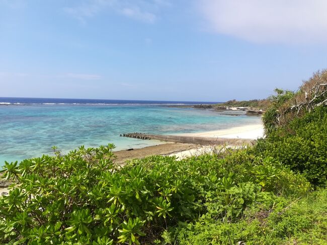 コロナ前に1度訪島した徳之島に久々に行ってみようと徳之島旅行を計画。<br />ところが、出発10日ほど前から台風6号が迷走開始(汗)。<br />最初は「まだ荷物送れないなぁ。過ぎ去ったら送ろうー」くらいだったのが、「事前に送ることは無理かも=持って行かないとかも」に変わり、さらに「荷物どころか私すら行けないかも」。<br /><br />出発前10日間で10年分くらい台風情報やそれにまつわるニュースを見たような…(汗)。<br />毎日毎日変わる予報に翻弄されて疲労困憊。いっそ飛行機が飛ばない=オールキャンセルにした方がすっきりするかもという心境にまでなったのだけど、<br />私が動き出す日から飛行機は飛び出し、私が島に辿り着いた日から島の流通を担う船便も再開。<br />結局全て予定通りの行程を踏んで旅を終えることをができました。<br /><br />行ってみると島は穏やか~。<br />お天気はピーカンの夏空とはいかないまでも、ほぼ毎日青空が見え、ひたすらのんびりできました。<br />基本的にあまり動き回らならい、宿でゆっくり旅です。<br /><br /><br />◆◆◆<br /><br />徳之島4日目~後泊。<br />ひたすらのんびりの旅後半。