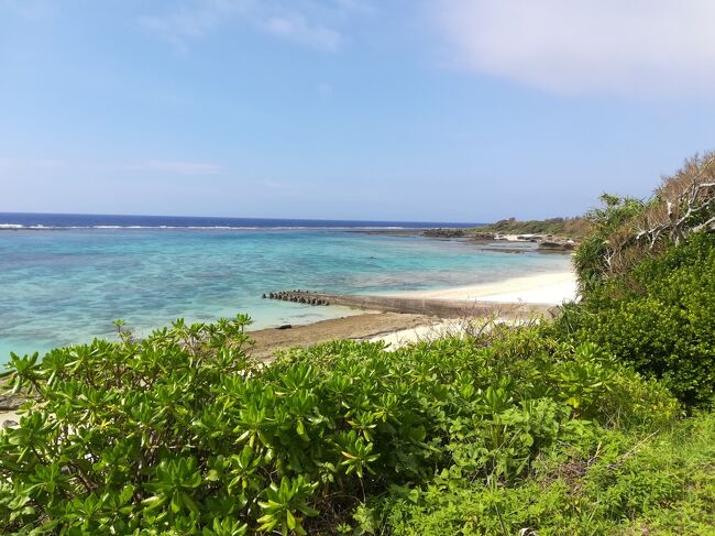 コロナ前に1度訪島した徳之島に久々に行ってみようと徳之島旅行を計画。<br />ところが、出発10日ほど前から台風6号が迷走開始（汗）。<br />最初は「まだ荷物送れないなぁ。過ぎ去ったら送ろうー」くらいだったのが、「事前に送ることは無理かも＝持って行かないとかも」に変わり、さらに「荷物どころか私すら行けないかも」。<br /><br />出発前10日間で10年分くらい台風情報やそれにまつわるニュースを見たような…（汗）。<br />毎日毎日変わる予報に翻弄されて疲労困憊。いっそ飛行機が飛ばない＝オールキャンセルにした方がすっきりするかもという心境にまでなったのだけど、<br />私が動き出す日から飛行機は飛び出し、私が島に辿り着いた日から島の流通を担う船便も再開。<br />結局全て予定通りの行程を踏んで旅を終えることをができました。<br /><br />行ってみると島は穏やか～。<br />お天気はピーカンの夏空とはいかないまでも、ほぼ毎日青空が見え、ひたすらのんびりできました。<br />基本的にあまり動き回らならい、宿でゆっくり旅です。<br /><br /><br />◆◆◆<br /><br />徳之島4日目～後泊。<br />ひたすらのんびりの旅後半。