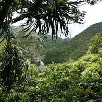 【島旅2023夏 6】上原滞在でジャングル満喫…浦内川クルーズ&滝トレッキング、ゲータの滝、ビーチもあるよ