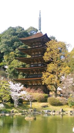山口歴史探訪 西国一の大名大内氏の軌跡を訪ねて4 倭寇を討伐し 山口歴史探訪 西国一の大名大内氏の軌跡を訪ねて4 倭寇を討伐し
