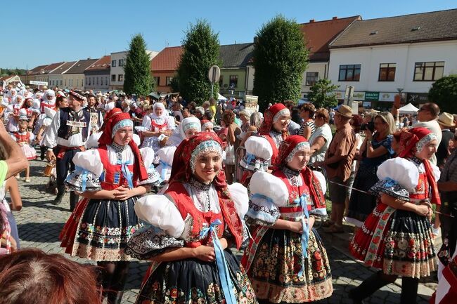 前回の中央アジアの旅から約一月でチェコと北ドイツに出掛けることになったきっかけは、モラビア平原の中心地キヨフで４年に一回しか開催されないという民族のお祭り（フォークロアの祭典「スロヴァツキー・ロク（Slovácký rok）」が今年８月の１０日から１３日にかけて開催されるということを知ったからだった。それではついでにエリカの花が平原一面に咲くというリューネブルガーハイデにも行って見ようということで、前回の旅の前に決めていたことだった。本旅行記では、８月１２日の朝オロモウツをバスで立ち、チェコ第二の都市ブルーノの宿へ。宿に荷物を預かってもらい、キヨフまで列車で往復し、パレードだけを見学したことを記しました。あまりにも快晴すぎて、暑く、見てる観光客にとっても、パレードに参加した村人たちにとっても、忍耐のいる日和でした。<br /><br /><br />今回の旅行の当初の予定<br /><br />8/8 成田―＞台北―＞ウイーン(8/9)<br />8/9 ウイーン―＞オロモウツ（泊)<br />8/10 オロモウツ―＞ブルノ（２泊）<br />モラヴィア観光＆キヨフ・フォークロアフェスティバル<br />8/12 キヨフ―＞トゥシェビーチ（泊）<br />8/13 トゥシェビーチ―＞チェスケー・ブディヨビチェ（泊）<br />8/14 チェスケー・ブディヨビチェ―＞プラハ<br />　（深夜）プラハ―（夜行バス）―＞ハノーファー<br />8/15 ハノーファー―＞ツェレ―＞リューネブルク近郊(泊)<br />8/16 リューネブルガーハイデ観光　リューネブルク（泊）<br />8/17 リューネブルク―＞ヴェルニゲローデ（泊）<br />8/18 ヴェルニゲローデ―＞クヴェトリンブルク（泊）<br />8/19 クヴェトリンブルク―＞ハン・ミュンデン（泊）<br />8/20 ハン・ミュンデン―＞エアフルト（泊）<br />8/21 エアフルト―＞プラハ（泊）<br />8/22 プラハ―＞ウィーン―＞台北（8/23）<br />8/23 台北市内または近郊観光<br />8/24 台北―＞成田