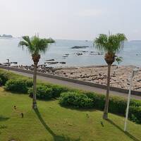 白崎海洋公園と紀伊田辺、白浜の旅一泊二日パート1