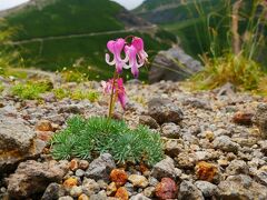 ハイキング・登山