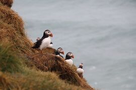 ザ・アイスランド_旅行で気になった事 23/0