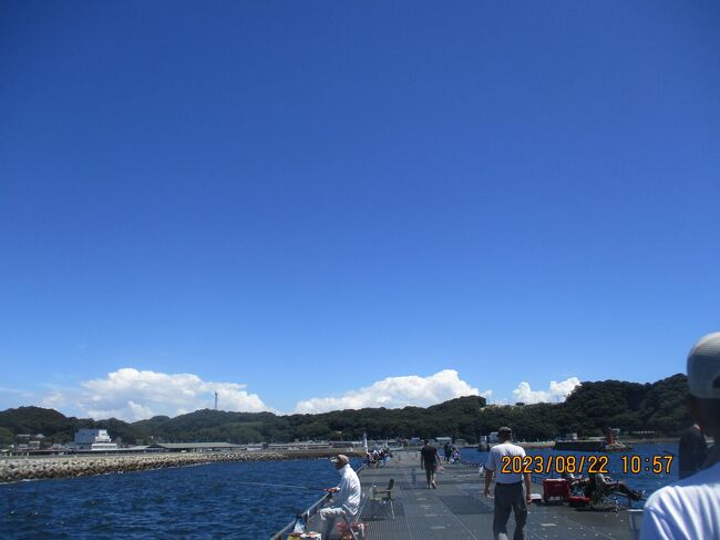 豊浜釣り桟橋８月下旬と９月　待ちの入れ食い<br />写真は２３０８２２－１０５７．海が青い。深い青。底まで青い。<br />；；；０８２２（火曜小潮）満潮９時と２１時。干潮３時と１５時。<br />橋脚の１つ目で１１時から翌５時まで。海水温２８度。お月様６夜。<br />；；；０８２３（水曜小潮）満潮９時半。干潮３時半。<br />アイゴ３４センチ１匹。アジ７９匹。トウゴロウイワシ１匹。サバは全くリリース無しで２０センチ２匹。<br />；；；０８３０（水曜大潮）満潮４時半と１８時。干潮１１時半と２３時半。橋脚２つ目半ばで１１時から翌７時まで。お月様１４夜。<br />；；；０８３１（木曜大潮）満潮５時半と１８時半。干潮０時。アイゴ３２センチと３３センチの２匹。アジ最大２０センチ１匹。１５センチが４５匹。サバ２０センチ１匹。<br />；；；０９１１（月曜。中潮）満潮１７時。干潮１１時。橋脚１つ目半ばで８時から２１時まで。お月様２６夜。海水気温２８度。カワハギ１７と１８センチで２匹。アイゴ２９と３１センチの２匹。サヨリ３１センチ１匹。カマス２３センチ１匹。グレ２０センチ１匹。サバ２２センチ１０匹。シマアジ２匹。アジ最大１９センチで３２匹。<br />；；；０９１８（月祝。中潮）大潮１９時半。干潮１３時半。お月様３夜。橋脚の内側１つ目挟んで。夕方から海側橋脚１つ目半ばで１４時半過ぎから翌９時まで。夕方にアジ２４匹。サバ１匹。タチウオ５２センチ指２本１匹。夜中にアジ５６匹。サバ１匹。<br />；；；０９１９（火曜。中潮）満潮８時。干潮１４時。アジ６匹。