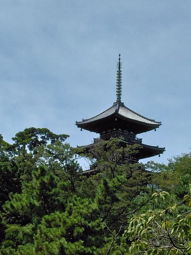 横浜のホテルが朝食付きでお得なプランあるよ～とのお誘いで急遽　泊まることに<br />せっかくなので少し散策。<br />調べてみたら、横浜駅からお得なチケットあり。<br />「みなとぶらりチケット」バス・地下鉄・ベイサイドブルー・あかいくつ号等乗れる。<br />今回は、bayside　blue　タイミングが合わず、乗れなかった。<br /><br />ちょっと足をのばせば三渓園・野毛山動物園へも行ける。<br />まだまだ暑いけど　せっかくなので散策してみよう。<br />クイーン・ジャック・キングと横浜三塔めぐりしてみた。<br /><br />関西の仲間が<br />大さん橋からクルーズに行くというので<br />会う予定だったが・・・残念！<br />またの機会に～<br /><br />