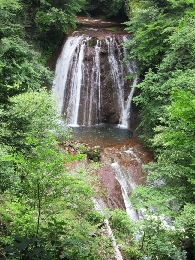 自然豊かな蓼科高原には、3.5㎞程に渡って渓流沿いを散策できる横谷渓谷と、国宝に指定されている二つの土偶が展示された尖石縄文考古館があります。渓谷沿いには遊歩道が設置されていて、滝を眺めマイナスイオンを浴びながら散策が楽しめます。考古館には縄文のビーナス、仮面の女神と名付けられた土偶が展示され、遺跡や考古学に興味ある人が訪れています。全く異なった二つのエリアですが、蓼科高原を訪れた際に一度は立ち寄りたいスポットです。