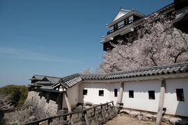 一時帰国中の四国４県巡り　５日目最終日 愛媛（松山）