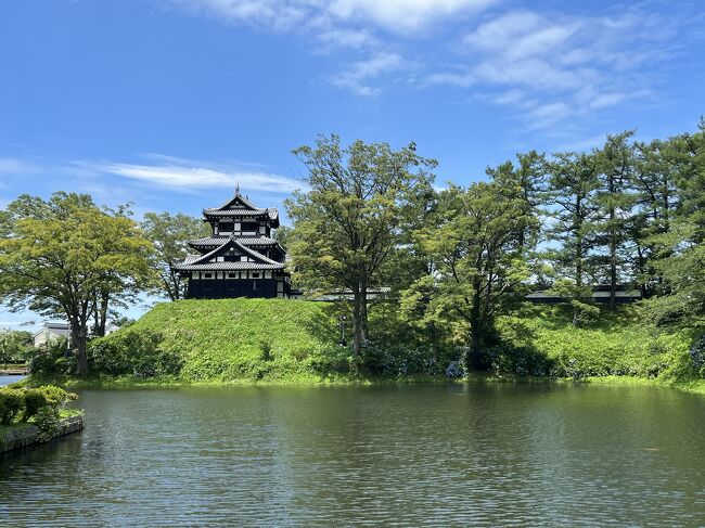 長野と新潟のお城を見つつ、鉄印もいただいてきました。<br />新潟ではえちごトキめき急行と北越急行の鉄印をいただき、春日山城、高田城、鮫ヶ尾城の順に見てまわりました。