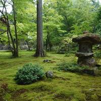 暑さを避けて！初の大原と下鴨神社＆烏丸御池、真夏旅