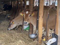 夏休み節約一人旅☆大沼公園・洞爺湖編　青春１８きっぷ