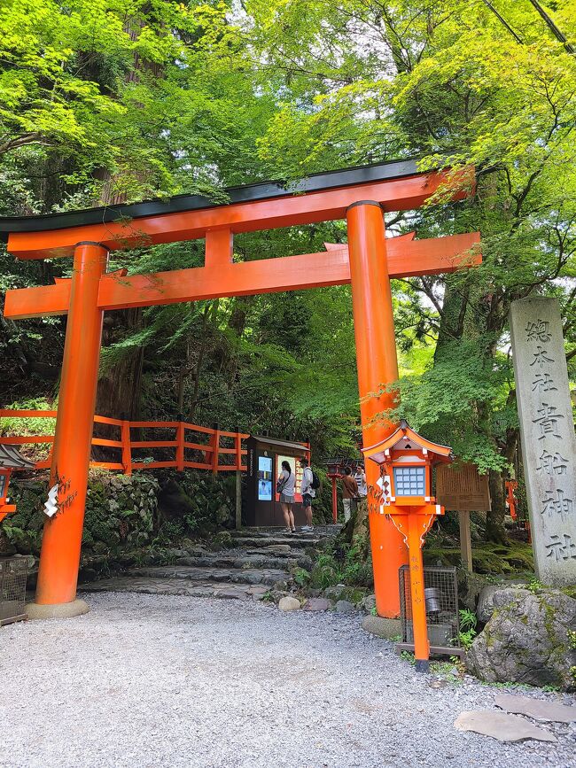 ２９年ぶり夫婦旅から早半年。<br />今回は競馬ファンである夫と神社巡り好きな妻がそれぞれしたいことをして<br />最終日は一緒に奈良へ行く旅です。<br />やっぱり夫とはペースが合わないを再確認する旅でもありました。<br />