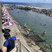 熱川ハイツに宿泊して下田九十浜、稲取磯シーガーデン池尻にて子供と海水浴の二泊三日伊豆縦断　後半