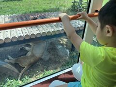 広い園内で１日中過ごせる動物園