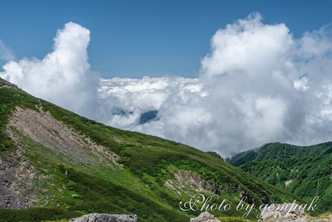 今年の夏（7月）は海へ、山へと遊びまわるのに忙しい。石垣島・西表島旅行から帰った9日後は、2泊3日で乗鞍へ。コロナ5類移行で、3年間一定程度は旅行を自粛していた反動で、気分がはじけているのである。<br />山行は、かつてのように何が何でも頂上を目指して頑張って歩くというのは卒業して、ゆったりとした気分で、美しい風景、花などを愛用のカメラで撮影するのがメインというスタイルである。<br /><br />撮影枚数が多いので、初日と２日目に分けて投稿します。<br /><br />