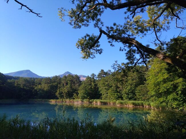 福島宮城を三泊四日で巡りました。<br />8月21日　旅行二日目福島編<br />五色沼散策→磐梯吾妻スカイライン→道の駅ふくしま→宮城に移動