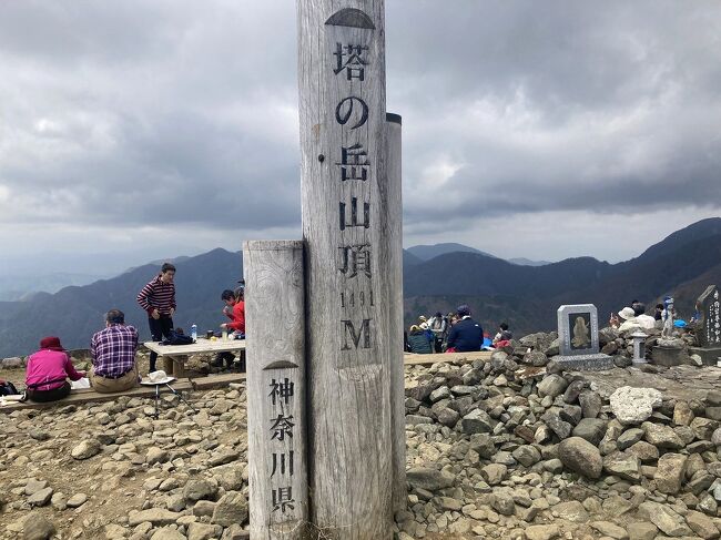 神奈川県の丹沢、塔ノ岳に登りました。小田急の渋沢駅から神奈中バスに乗り15分で終点の大倉に着きました。大倉は標高290ｍ、ここから塔ノ岳山頂（標高1491ｍ）まで尾根道を一気に登っていきます。大倉尾根は単調な急登が連続するところから通称バカ尾根と呼ばれています。時々、視界が開ける場所からは相模湾が見えて見晴らしは良かったです。途中の茶店「堀山の家」はオリジナルＴシャツおしでした。塔ノ岳山頂。帰路は鍋割山を経て下山します。午後は晴れ間も出てきて花も綺麗でした。