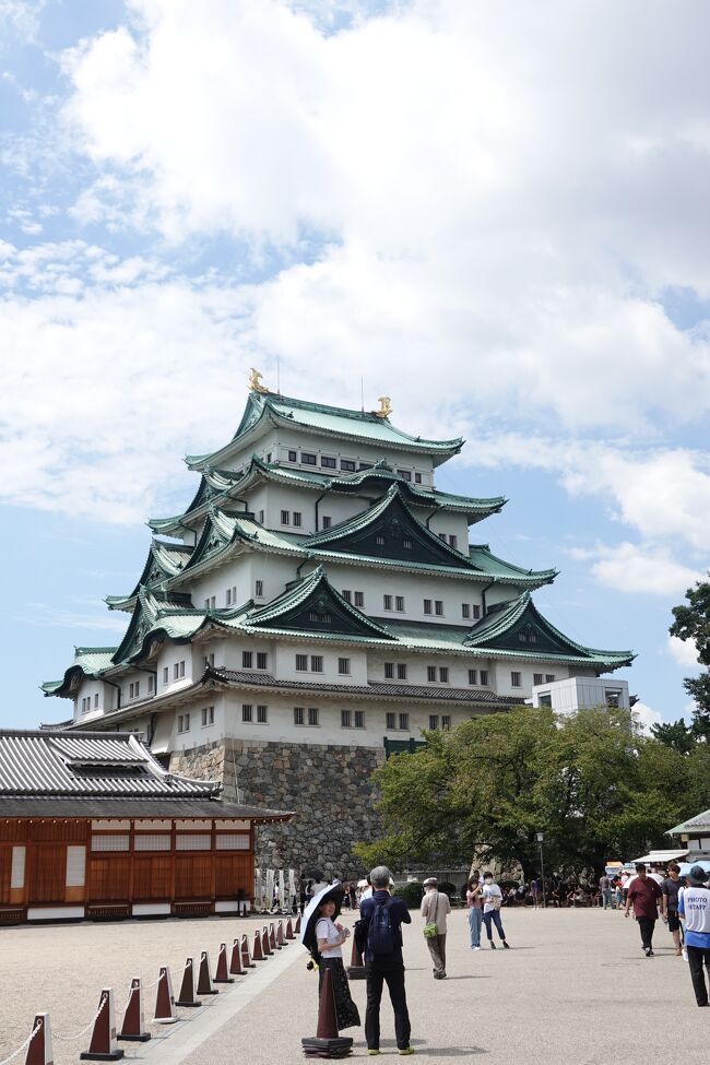 折角名古屋まで来たので、久しぶりに名古屋城に行ってみました、　何と名古屋城内に入れず、　海外の人にとってはがっかりものですな。