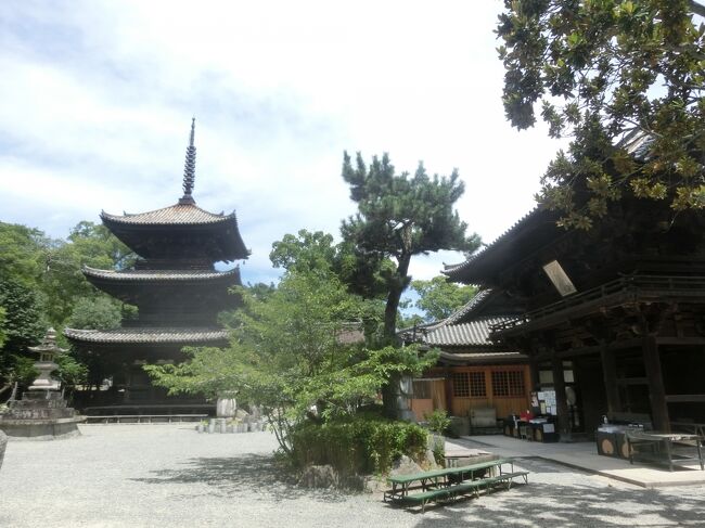 松山城址を下り、東へ歩くとそこには湯築城跡。どちらも日本百名城に選ばれています。こんな近くに隣り合う日本百名城も珍しいと思います。更に東へ行くと石手寺。国宝の仁王門と重要文化財の三重塔が美しい。<br />更に伊佐爾波神社と一遍上人生誕地の宝厳寺から道後温泉へ。<br /><br />この旅行の初回からご覧になりたい方は、こちらをどうぞ<br />https://4travel.jp/travelogue/11848718<br />