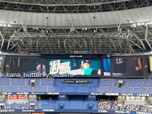 2023年8月 推し活 オリックスバファローズVS楽天ゴールデン