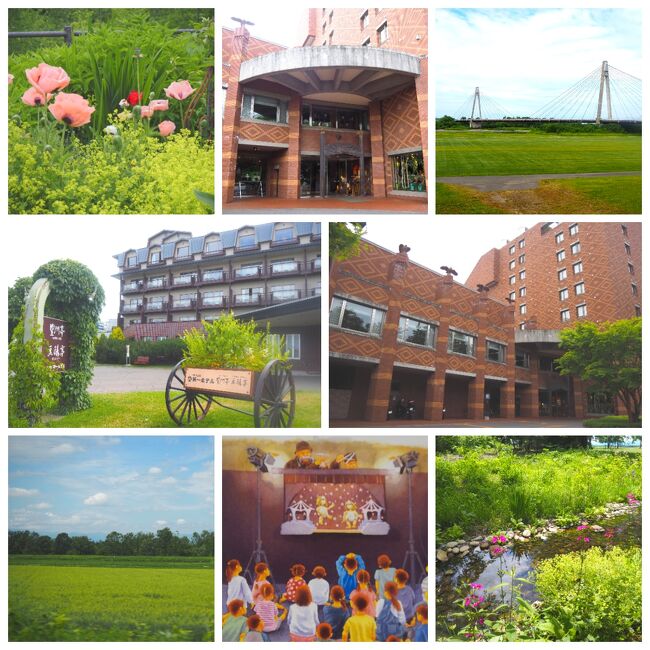 今年２度目の北海道ですが、5月の北海道よりも先に決まっていました。親戚が北海道へ<br />行きたいと、何でも白毛の競走馬ソダシのファンで馬好きの親戚がお馬さんと北海道の<br />大自然を楽しみたいそうです。私は馬には、さほど興味ありませんが大好きな北海道を<br />ドライブで行けるならと、最初から人数には入ってたようですが、もちろん参加です。<br />親戚4人でのドライブ旅行、移動が多くてあまり観光地へは行けなかったのですが。運転<br />手が一番で、私のガーデン街道制覇の夢は今回は消えました。そんな旅行記ですが、よろしければお付き合いいただけると嬉しいです。<br /><br /><br />◆　６月２２日（木）　福岡　　11時50分発　　新千歳　14時10分着<br />　　　　　　　　　　　六花亭　本店　　　森のスパリゾート北海道ホテル<br /><br />◆　　　２３日（金）　六花の森、扇ヶ原展望台　然別湖　ナイタイテラス<br />　　　　　　　　　　　　　　　　　　　十勝川温泉　第一ホテル　豆陽亭<br /><br />◇　　　２４日（土）　優駿メモリアルパーク 優駿記念館<br />　　　　　　　　　　　日高サラブレッド銀座<br />　　　　　　　　　　　　　　　　　　　　　鶴雅リゾート 洞爺湖 洸の謌<br /><br />◇　　　２５日（日）　レークヒル・ファーム (洞爺湖)<br />　　　　　　　　　　　積丹半島　神威岬　島武意海岸<br />　　　　　　　　　　　　　　　　　　　　　　　　　　　　　　界ポロト<br /><br />◇　　　２６日（月）　ノーザンホースパーク（苫小牧）<br />　　　　　　　　　　　新千歳　14時10分発　　福岡　16時40分着<br />　　