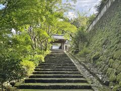 晩夏の高知、旬の魚に湧く『土佐の一本釣り』の町　と　酒蔵の町を訪ねて