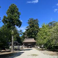 遠い遠いと思ってたら飛行機でわずか５０分で、近かった隠岐諸島。二日目。