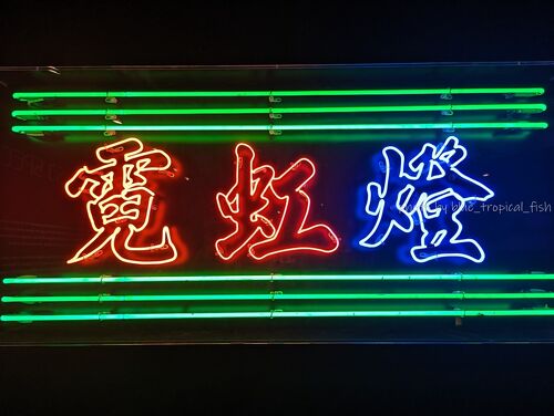 香港☆街頭から消えゆくネオンサインに焦点を当てた展示「霓續 Vital