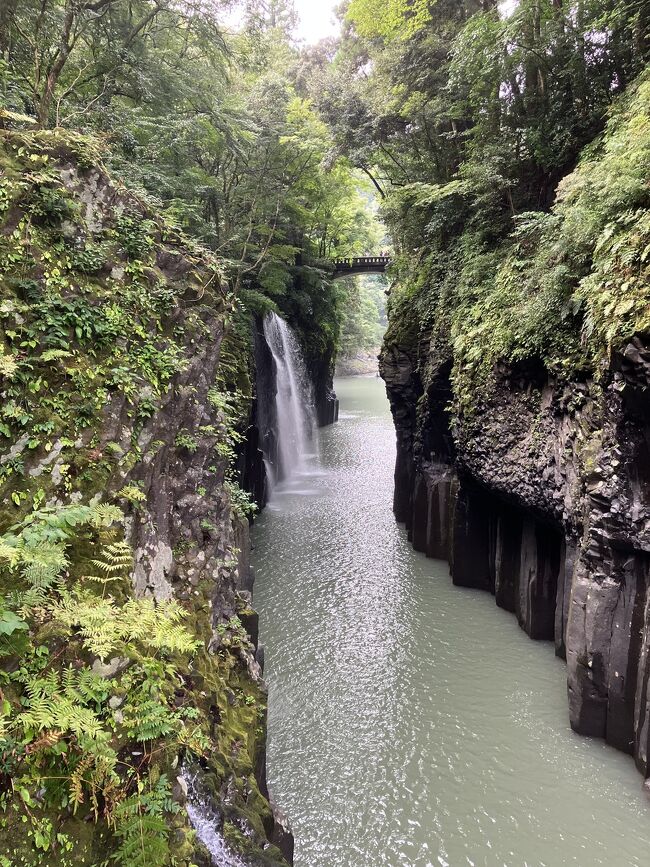 今更ですが、、、昨年夏の家族旅行！<br />宮崎、熊本、鹿児島の3県をかけ足でぐるっと回りました。<br />定番観光地とご当地グルメを堪能した6日間の記録です（＾ν＾）