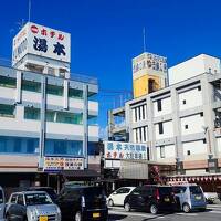 2023 猛暑盆休み！行田田んぼアートと市内観光 ②広くて大満足の天然温泉 茂美の湯『湯本館』