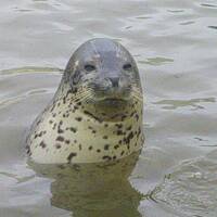 2023夏・青春１８きっぷ旅（パート４：日帰り稚内の旅）