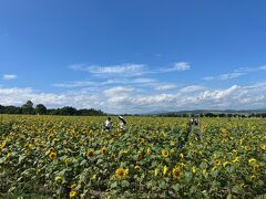 エゾヒグマの真実を探れ！北海道キャンピングカー旅行（1年ぶり2回目）その3