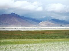 ラダック　カンヤツェⅡ峰への旅　３　ツォ・カルで探鳥