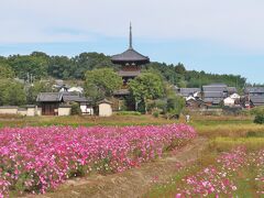 古都奈良の世界遺産巡り(5)　