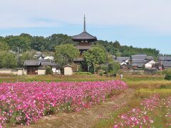 古都奈良の世界遺産巡り(5)