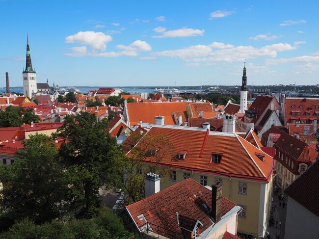 コロナや戦争の影響で2回延期していたエストニアとフィンランド旅行にようやく行くことができました。この旅行記では、タリン旧市街観光の続きをご紹介したいと思います