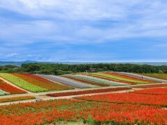 カラフルなお花畑が広がる、やくらいガーデン