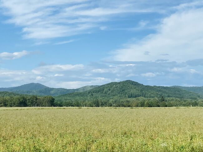 当たり前の様に北海道に長期滞在して<br />更に偉そうにああだこうだ言っている私ですが（してない）<br />そもそもなんで北海道に来たかというと<br />きっかけは昨年「新そばを北海道で食べたいな」、<br />「新そばの時期に北海道を旅したいな」と検索した事からなのです。<br />（これも何回も言っててすみませんね）<br /><br />検索しただけで2年も長居して良いのか悪いのか（めちゃくちゃ良かった）、<br />新そばきっかけで来たものの昨年は一ヶ所しか行かなかった「新そば祭り」に<br />今年はもうちょっと行くぜ、ってことで<br />幌加内の新そば祭りに行った旅行記です。<br /><br /><br />ちなみに去年行った新得の新そば祭り旅行記↓<br /><br />秋の道東4泊5日⑤　　最終日は旅のメインエベン 新得のそば祭りでフィナーレ 帯広から新得また帯広へ<br /><br />https://4travel.jp/travelogue/11853068<br />