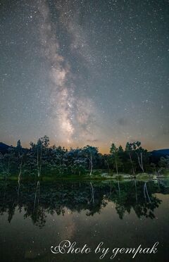 夏の乗鞍岳で高山植物、雲海の撮影三昧 その２　そして乗鞍高原に遊ぶ