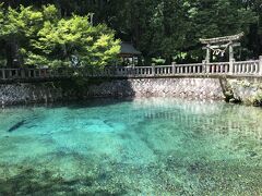 数十年ぶりの山口県北中部。懐かしさいっぱいの地もあり、初めての地もあり。暑さには閉口した！最終日。