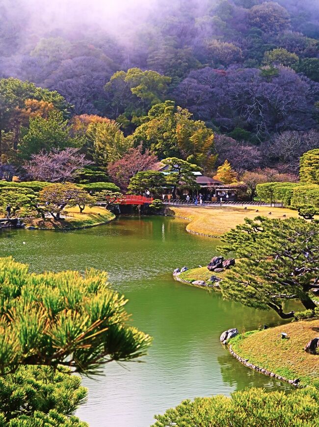 栗林公園（りつりんこうえん）は、香川県高松市に所在し、国の特別名勝に指定された回遊式大名庭園（日本庭園）である。県立の都市公園（歴史公園）として運営されている。<br /><br />紫雲山の東麓に所在し、紫雲山を背景に、6つの池と13の築山を配し、400年近い歴史を有する大名庭園である。すぐれた地割と石組を有し、木石の雅趣に富んでいるとされている。面積は約75haで文化財庭園では、国内最大の広さである。<br /><br />文化財庭園としてのカエデ・ツツジ・約1000本の手入れマツなどに加え、都市公園としてのウメ・サクラ・ハス・ショウブ・ハギなどが創出する四季折々の景観は、「一歩一景」とされている。<br /><br />本園は、南庭と北庭で構成される。南庭は江戸時代初期の大名庭園の姿を今日に伝える。北庭は檜御殿が建ち鴨場であったが、大正時代初期に近代庭園のスタイルを取り入れた改修の後、一部を改変して今日に至る<br />。本園の前身の「栗林荘」は、高松藩主の松平家11代の国もとの下屋敷として、228年間使用された。1745年（延享2年）第5代藩主頼恭が「名所60景」を撰名し]、作庭が完成したとされる。「名所60景」は、南庭に46景と北庭に4景の、50景が現存する。<br /><br />1875年（明治8年）3月16日 - 県立公園として「栗林公園」が公開される。<br />1953年（昭和28年）3月31日 - 特別名勝（文部省）に指定される]。<br />1956年（昭和31年）10月15日 - 都市公園（建設省）になる。<br />2023年（令和5年）3月- 偃月橋の架け替え工事が終了、竣工式。<br /><br />掬月亭（きくげつてい）：江戸時代の初期に建てられた、数寄屋造りの純和風建築で、茶室を備える。東南の南湖に突き出る棟が、「水を掬（すく）えば月が手にある」という中国唐代の詩の一節から名付けられた「掬月楼」にあやかり、建物が「掬月亭」に改名された。掬月亭は四方正面の造りで、床を低くし、壁は少なく、風通しの良い夏向きの建物である。南庭の中心的な存在の亭内からの眺めは絶景で、開放感にあふれるとされている。<br /><br />飛来峰（ひらいほう）：富士山に見立てて造られたといわれる築山で、園内随一のビューポイント。山頂近くにある珪化木（けいかぼく）の石組みは、山が崩れるのを防ぐとともに、富士山の雪を表したものではないかといわれている。山頂から見下ろす偃月橋や、紫雲山を背景に南湖の西に配された掬月亭を望む眺めは、栗林公園を代表する景観で、定番の撮影スポットとなっている。飛来峰という名称は、中国杭州にある名勝地から得た命名といわれている。<br />樹種・・園内には総数56科、173種、約32,400本の樹木が生育している。<br />（フリー百科事典『ウィキペディア（Wikipedia）』より引用）　<br /><br /><br />栗林公園　については・・<br />https://www.my-kagawa.jp/ritsuringarden/feature/ritsuringarden/garden<br /><br /><br />