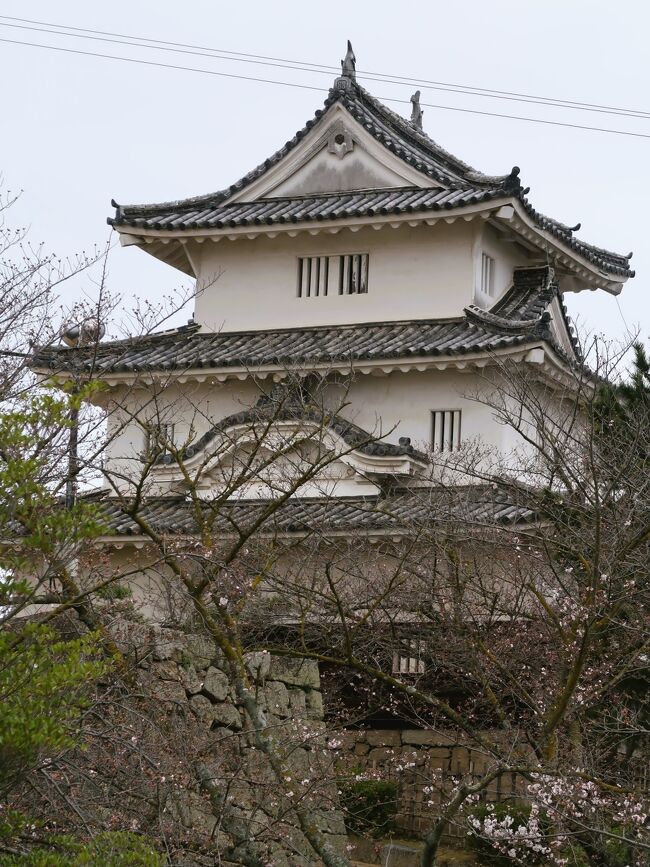 丸亀城（まるがめじょう）は、讃岐国、現在の香川県丸亀市にある日本の城である。別名、亀山城（かめやまじょう）。<br /><br />丸亀市街地の南部に位置する亀山（標高66メートル）を利用し、縄張りはほぼ四角形で亀山の廻りを堀（内堀）で囲む、渦郭式の平山城である。<br />石垣は、緩やかであるが荒々しい野面積みと端整な算木積みの土台から、頂は垂直になるよう独特の反りを持たせる「扇の勾配」と呼ばれる。山麓から山頂まで4重に重ねられ、合わせると60メートルになり、総高としては日本一高く三の丸石垣だけで一番高い部分は22メートルある。<br /><br />頂部の本丸には江戸時代に建てられた御三階櫓が現存する。この建物は唐破風や千鳥破風を施して漆喰が塗られ高さは15メートルあり、現存天守の中で最も小規模である。<br />城跡の全域は国の史跡に指定されており亀山公園となっている。天守のほかに大手一の門・大手二の門・藩主玄関先御門・番所・御籠部屋・長屋が現存しており、そのうち天守・大手一の門・大手二の門は重要文化財に指定されている。木型模型（1/650）の現存例は丸亀城のものしかなく非常に珍しい。これは平成4年に丸亀市の指定有形文化財になっている。大手門と天守が両方とも現存しているのはこの丸亀城と、弘前城と高知城のみである。<br /><br />慶長2年（1597年） - 豊臣政権の時代、生駒親正が讃岐17万石を与えられ高松城を本城とし、亀山に支城を築く。<br />慶長7年（1602年） - 6年の歳月を要し、ほぼ現在の城郭が完成。<br />延宝元年（1673年） - 32年の歳月を要し大改修が完了。現存する石垣の大半はこの改修の際に完成したものである。<br />昭和25年（1950年） - 天守の解体修理が行われた。この記念行事として第1回の丸亀お城まつりが開催された。また、文化財保護法施行により天守は重要文化財となる。<br />昭和32年（1957年） - 大手一の門・大手二の門が重要文化財に指定される。<br />昭和47年（1972年） - 丸亀城や京極氏に関わる史料を展示する丸亀市立資料館が開館。<br />現在地住所：香川県丸亀市一番丁4番地乙<br />（フリー百科事典『ウィキペディア（Wikipedia）』より引用）　<br /><br />丸亀城　については・・<br />https://www.city.marugame.lg.jp/site/castle/<br />