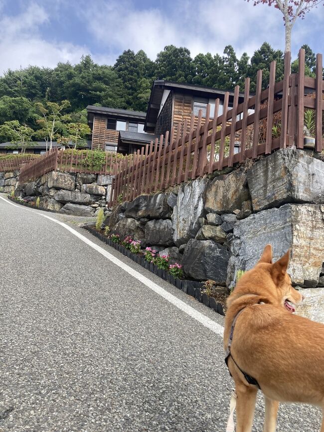 愛犬と行く　～石巻・気仙沼・陸前高田～パート2・ホテル編