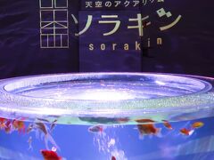 宇多津-4　ソラキンa　天空の煌めき-Aquarium‐金魚　☆ゴールドタワー5Fで