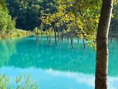 北海道旅行４　青い池　白ひげの滝