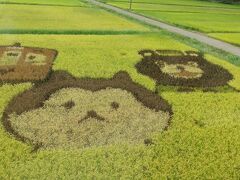 田んぼアートを見に秋田内陸線に乗る