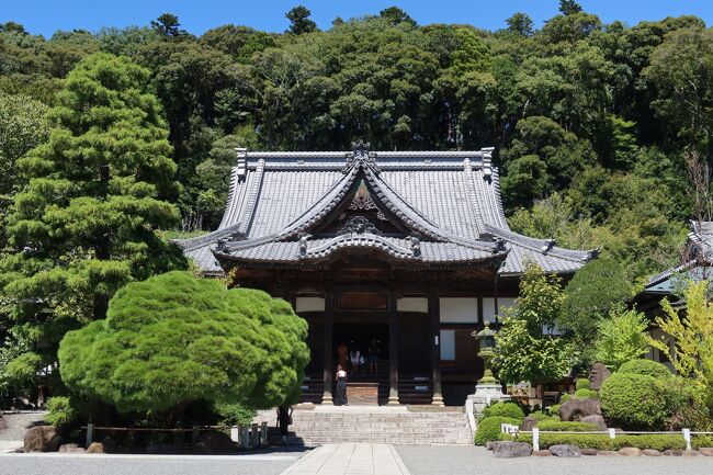 伊豆マリオットホテル修善寺に宿泊し、翌日修善寺温泉を散策してきました