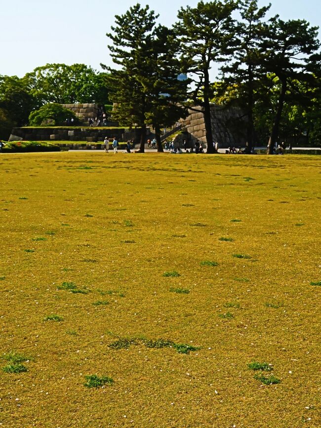 皇居東御苑（こうきょひがしぎょえん）は、日本の東京都千代田区の皇居の東側に付属している広さ約21ヘクタールの庭園。宮内庁の管轄。<br /><br />当地はかつての江戸城の本丸・二の丸・三の丸に位置する。本丸には江戸幕府将軍の住居である本丸御殿や天守閣があり、城の中枢であった。<br /><br />戦後の1963年に特別史跡に指定され、1968年10月1日から一般に公開されている。苑内は自然が豊かで、武蔵野の自然を模した二の丸雑木林や、果樹の古品種園、ヒレナガニシキゴイが放流されている池がある。このほか日本庭園や皇室関連の施設、江戸城の遺構など歴史的な史跡も見ることができ、国内のみならず海外からの旅行者も多く訪れる。<br />主な施設<br />三の丸尚蔵館 - 宮内庁所管の美術品、絵画など貴重な品々を展示している。1993年開館。　Type<br />桃華楽堂 - 香淳皇后の還暦を祝い、1966年に建てられた音楽堂。<br />百人番所 - 本丸・二の丸へ続く大手三之門を警護していた門。<br />天守台（江戸城天守跡） - 本丸の北端に位置している。3代将軍家光が大改修を行い、最終的な完成をみたのは1638年。この時、現在の天守台ができた。天守は、外観5層、内部6階建てであったが、明暦の大火で焼失してしまい、それ以後、天守は建設されなかった。<br />本丸休憩所増築棟 - 寛永期の天守を1/30スケールで再現した江戸城天守復元模型が公開されている[5]。<br />（フリー百科事典『ウィキペディア（Wikipedia）』より引用）　<br /><br />皇居東御苑　については・・<br />https://www.kunaicho.go.jp/event/higashigyoen/higashigyoen.html<br />