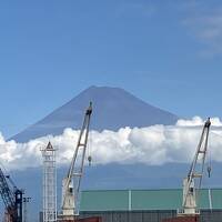 静岡グルメ満喫ツアー！